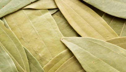 Bay Leaf/Tejpatta/Tejpata (Whole) - Image 2