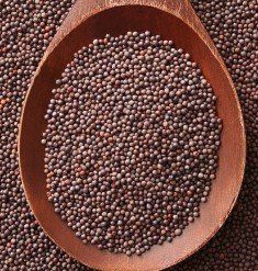 Black Mustard seed/ Kalo Sorshe/ Rai (Whole)