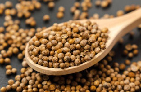 Coriander/Dhaniya (Whole)