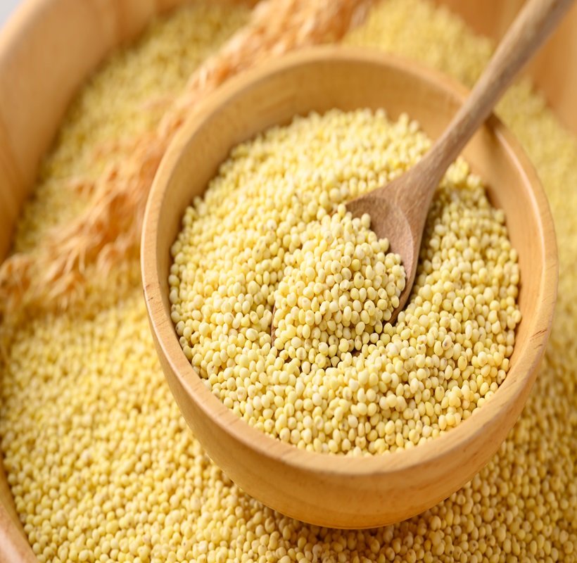 Foxtail Millet/Kangni/Kahon